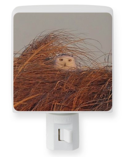 peeking-owl-night-light