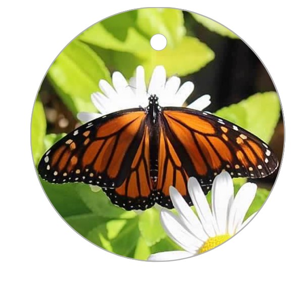 Butterfly ornament