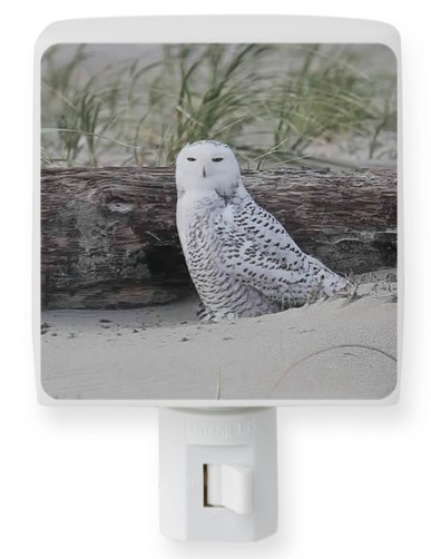 sandy-point-snowy-night-light