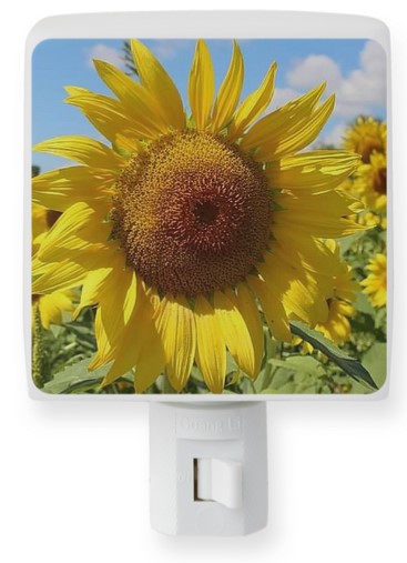sunflower-night-light