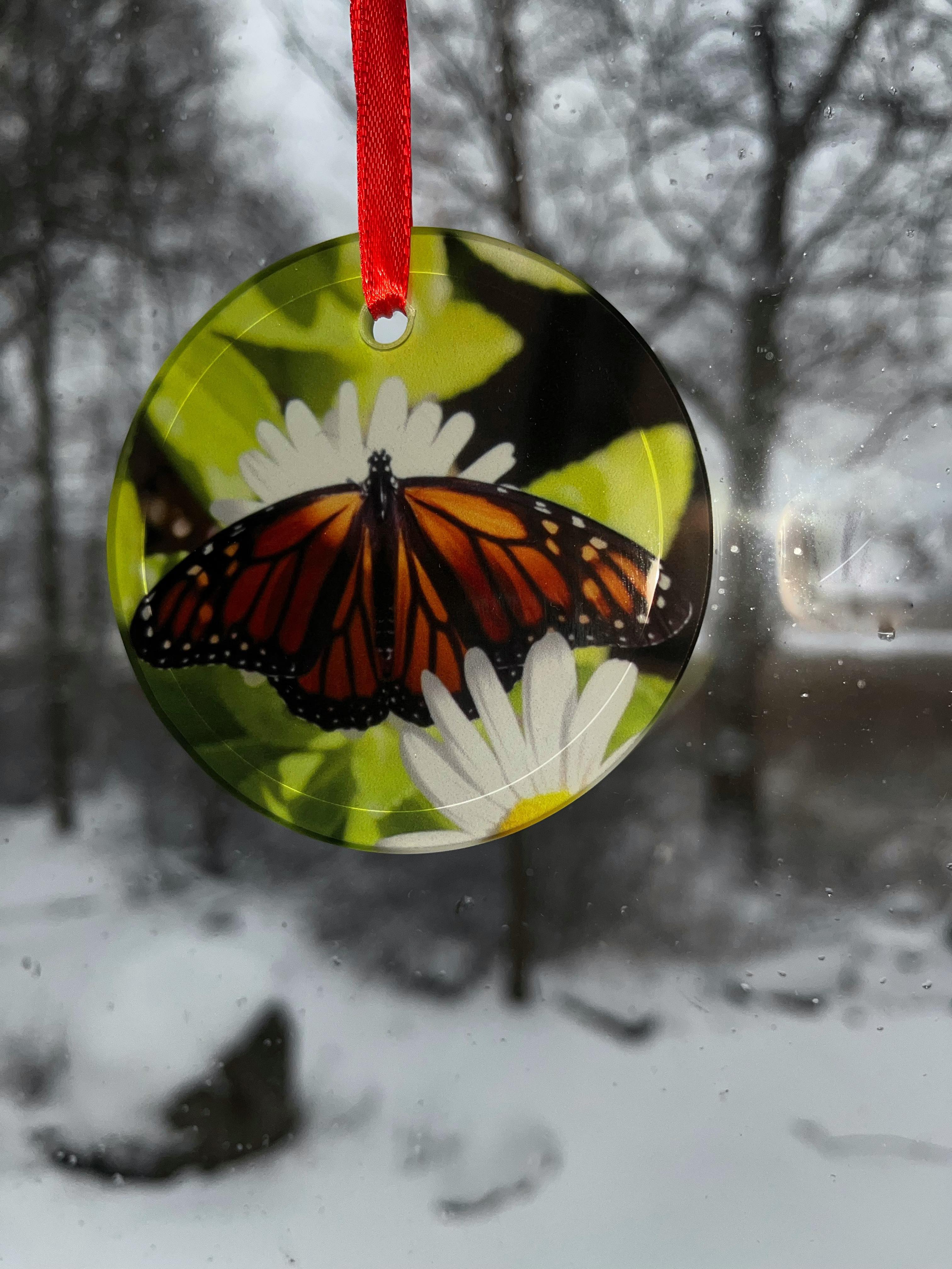butterfly-suncatcher-in-window
