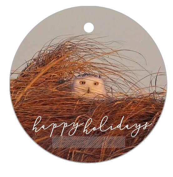 peeking-owl-round-ornament