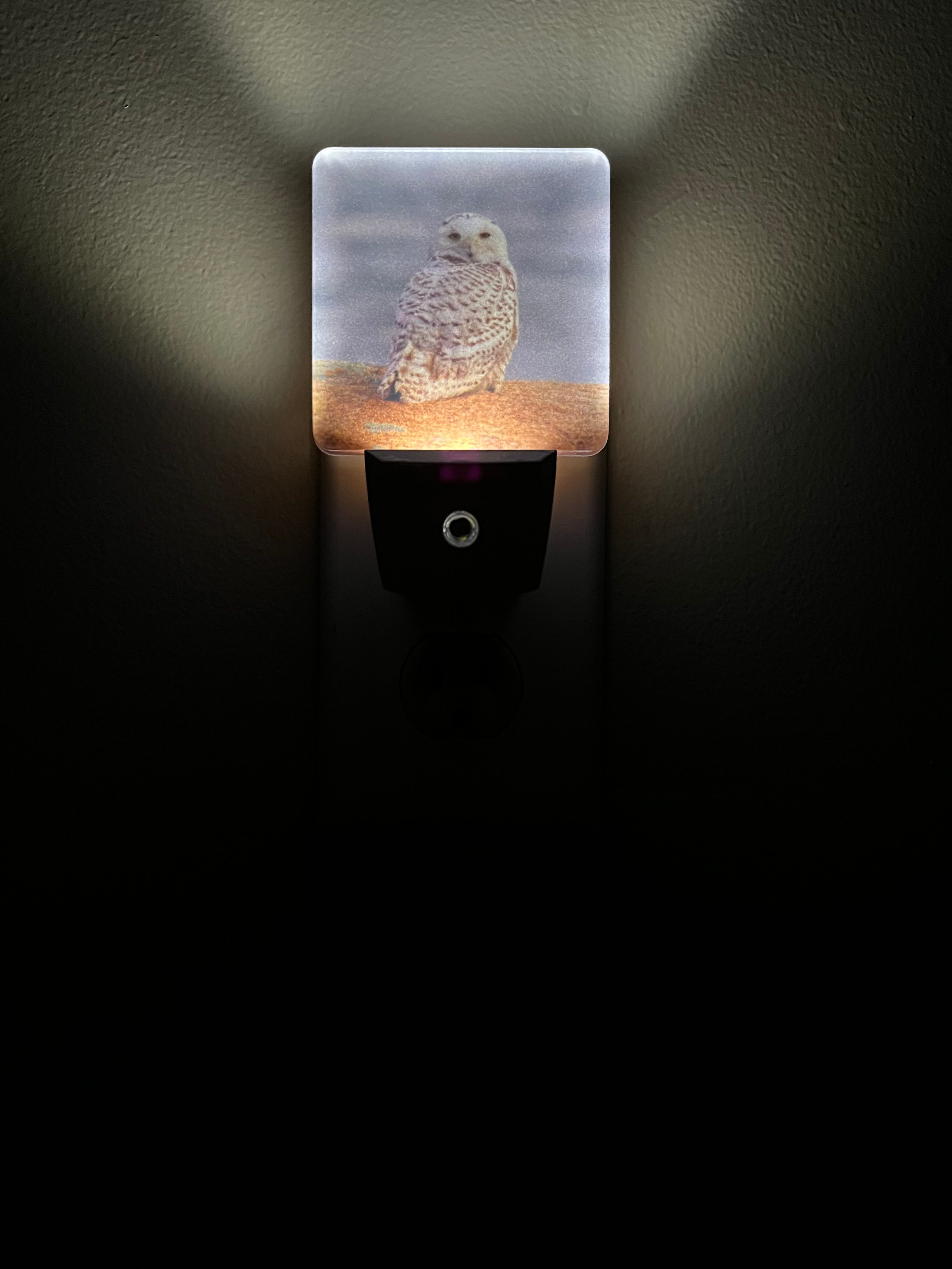 back-shore-snowy-auto-sensor-nightlight-lit