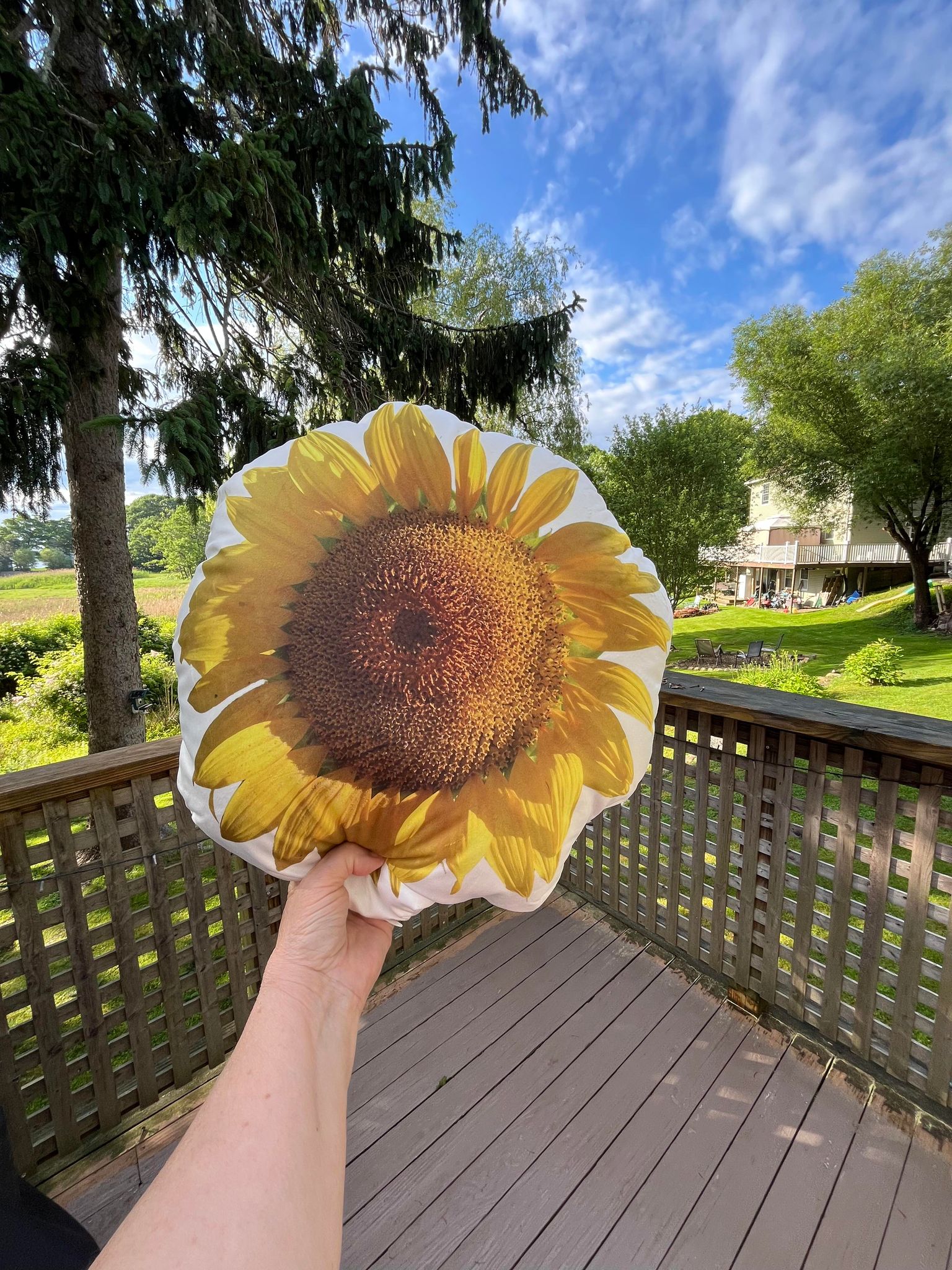 sunflower-pillow