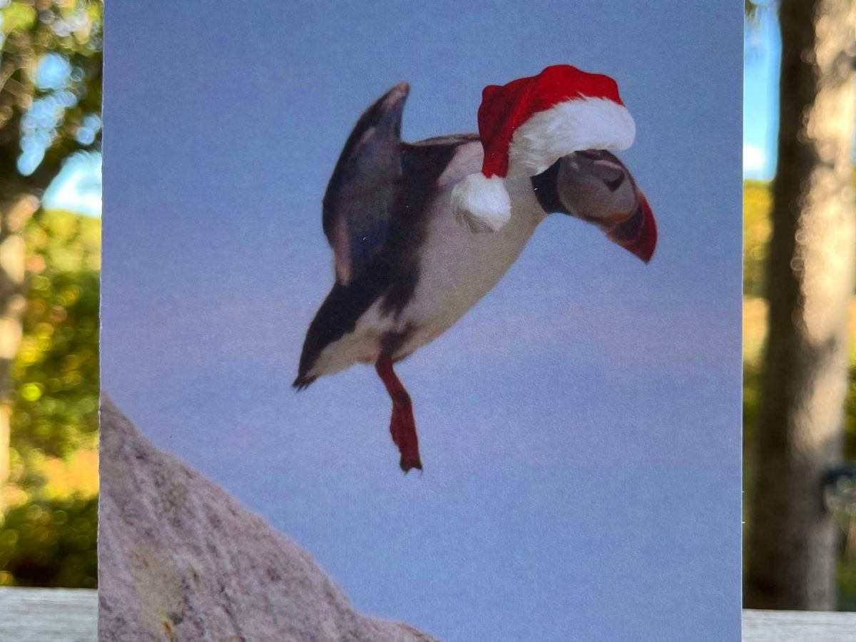 New Puffin Item At Pat D’s&nbsp;Photos!