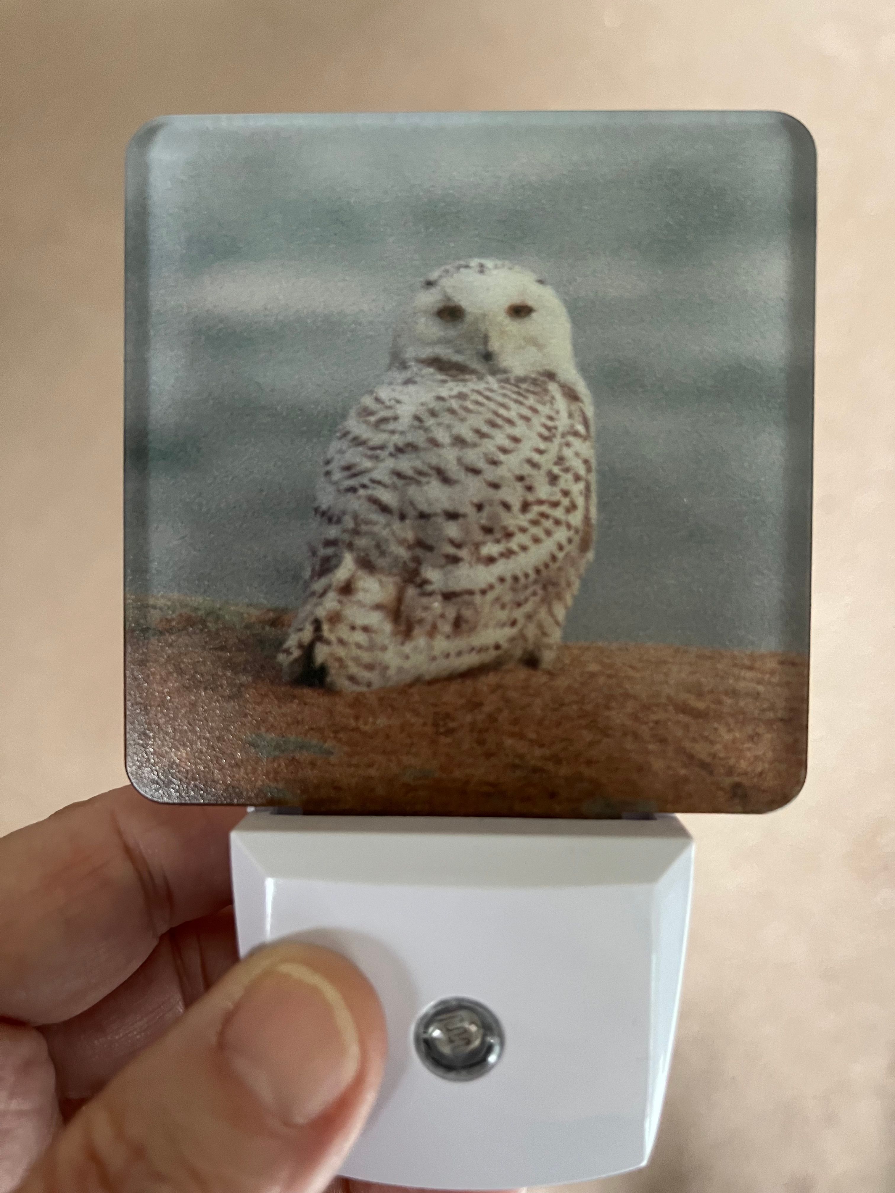 Back Shore Snowy Auto Sensor Nightlight