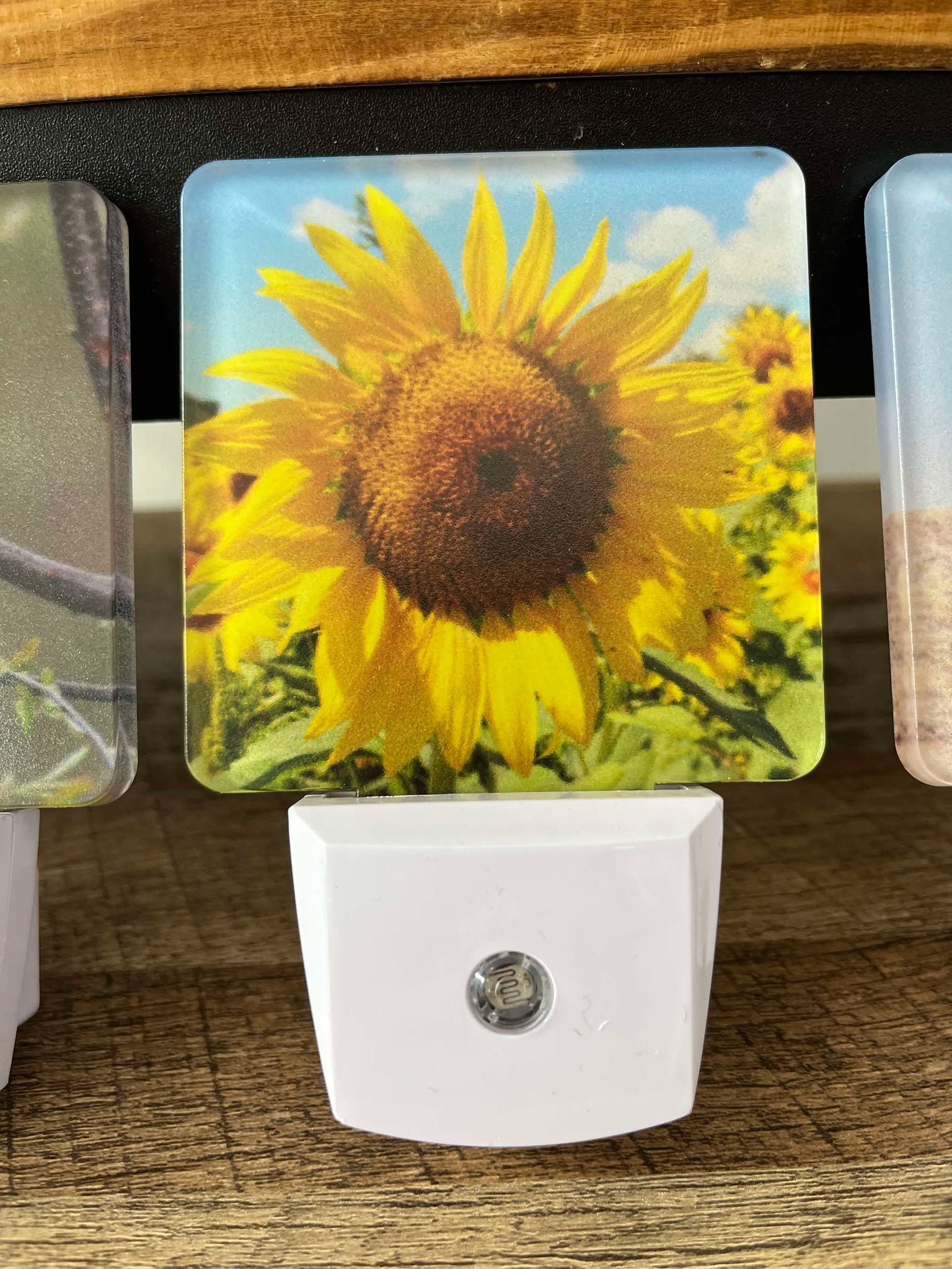 Single Sunflower nightlight